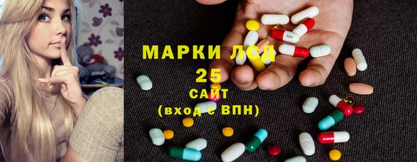 тгк Каменногорск
