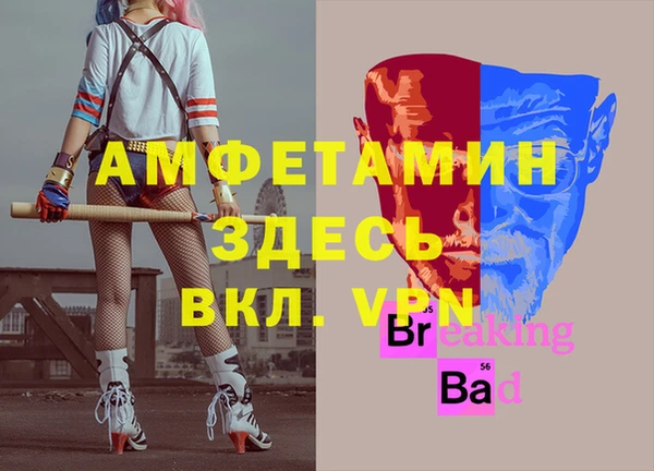 тгк Каменногорск