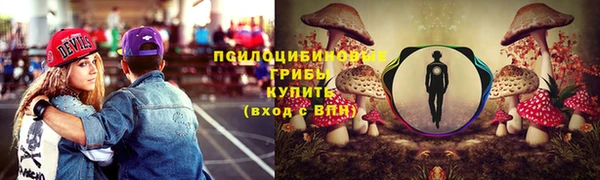 тгк Каменногорск
