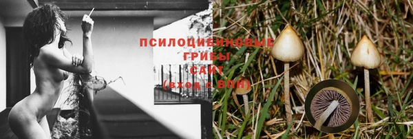 соль ск Каменка